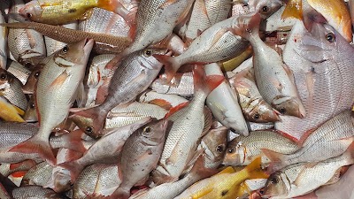 Photos of Deep Sea Fishing in dubai/yachts trips & boats RentalDeep Sea Fishing
