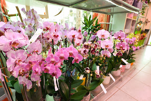 Photo n°8 de Le Langage Des Fleurs à Bourges (Fleuriste)