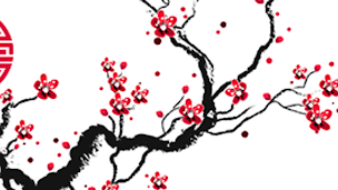 Photo n°3 de Alain Pradier à Lattes (Clinique de médecine chinoise)