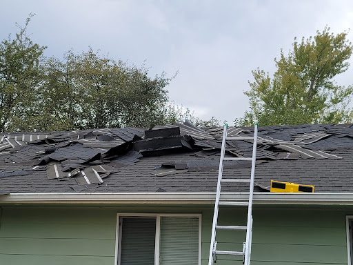Prohome Roofers - Thumbnail