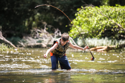 Camp Ozark - Thumbnail