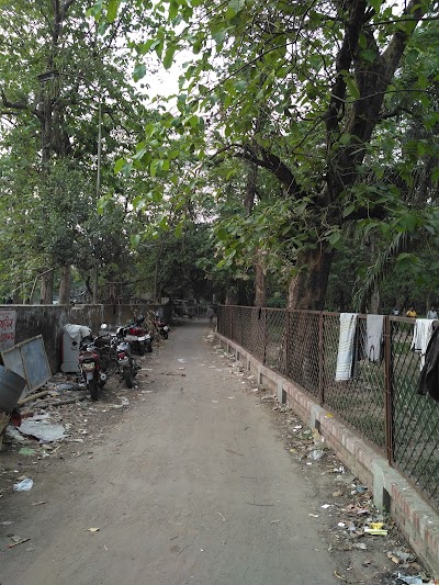Photos of Arboriculture PWD Sub Division 1,2