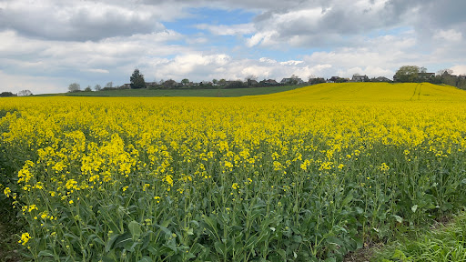 High Halstow Sports Field Gallery - United Kingdom