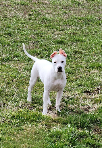 Highland Humane Society