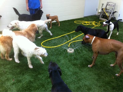 Photos of Sugar Hill Animal Hospital