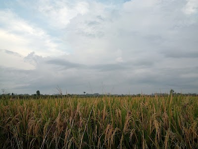 cemetery