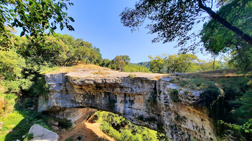 Veja Bridge - Visual