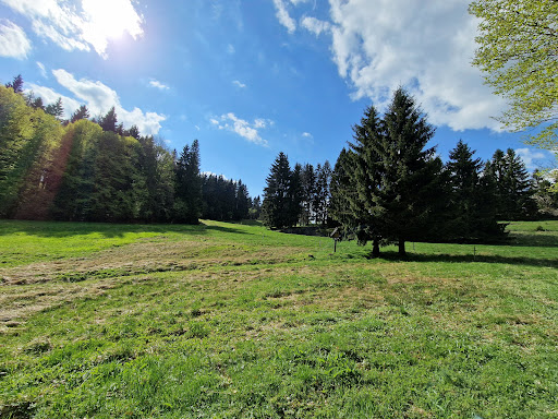 Pechbrunnen - Visual