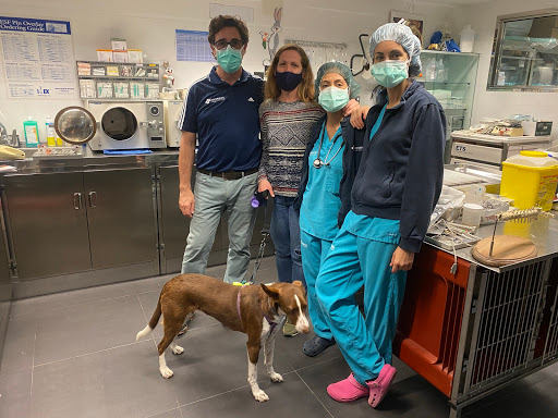 Myramar - Veterinarios en Fuengirola