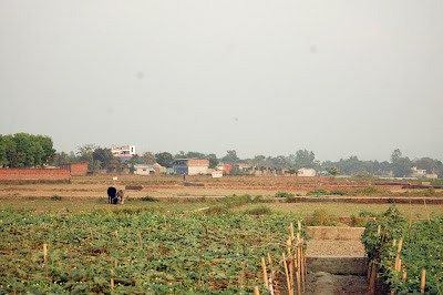 Photos of S A Housing Estate Limited