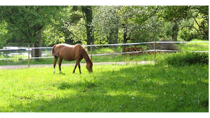 Photo n°1 de FAYE Formation & Conseil à Sauvigny-les-Bois (Centre de formation continue)
