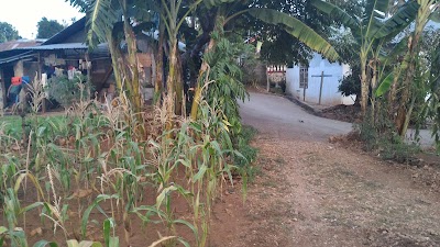 Photos of Consulate of Timor-Leste