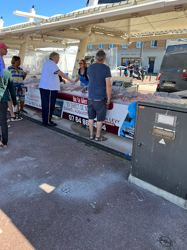 shellfish stalls - Visual