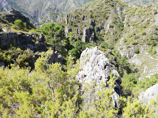 Sendero Cascada de los Árboles Petrificados - Thumbnail