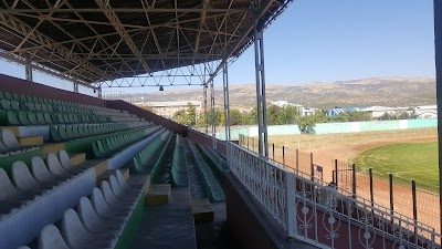 Sehir Stadyumu