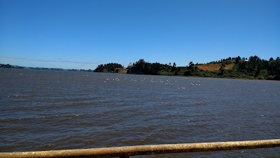 Photos of Caleta Pescadores De Puerto Dominguez
