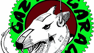 Photo n°1 de Gaz dog garage à La Roche-sur-Foron (Garage automobile)