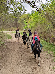 Photo n°9 de Pégase Harmony, Logements insolites et structure équestre à Solférino (Service de médiation)