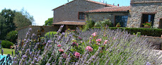 Agriturismo La Contea Monterotondo Marittimo à Briatico
