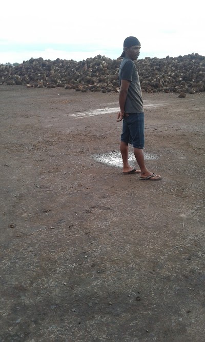 Photos of PKS PT. GRAHA INTI JAYA