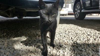 New Sports Complex, Buraimi