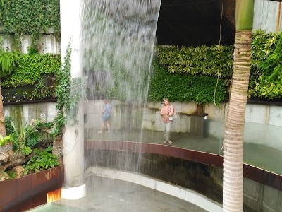 Photos of Estepona Orchidarium