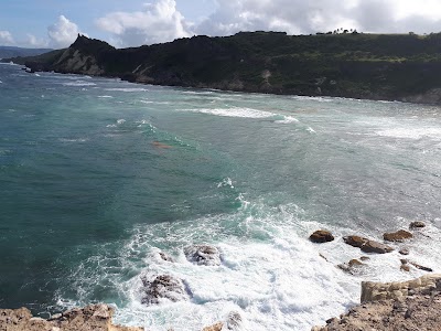 Photos of Cove Bay
