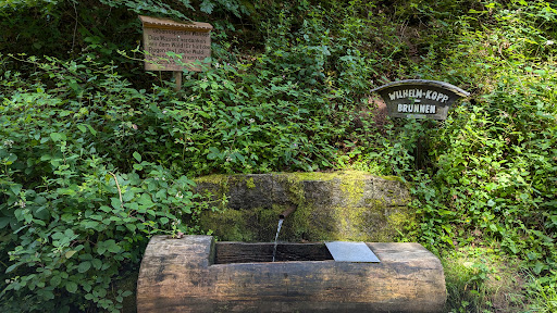 Kandern, Wilhelm Kopp Brunnen - Thumbnail