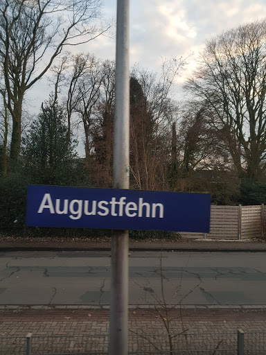 Augustfehn - Thumbnail