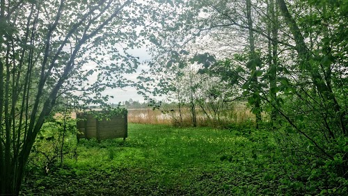 Petrošiškio ežeras