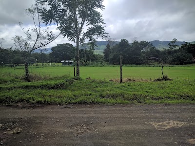 Photos of Colonia Blanca de Aguas Claras, Upala