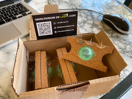 Moscas De León - Visual