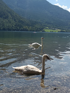 Badeplatz Bräuhof / Alter Surfplatz Bräuhof, 8993 Grundlsee, Österreich