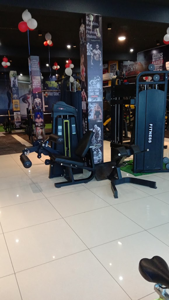 Lifetime Fitness Gym