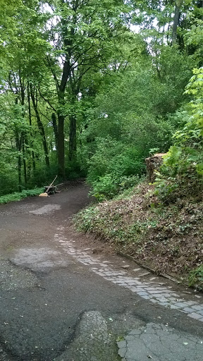 Hauptfriedhof Scheib - Thumbnail