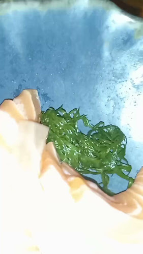 Comentarii opinii despre Koi (California)