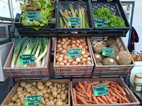 Les serres du château à Ribécourt-Dreslincourt