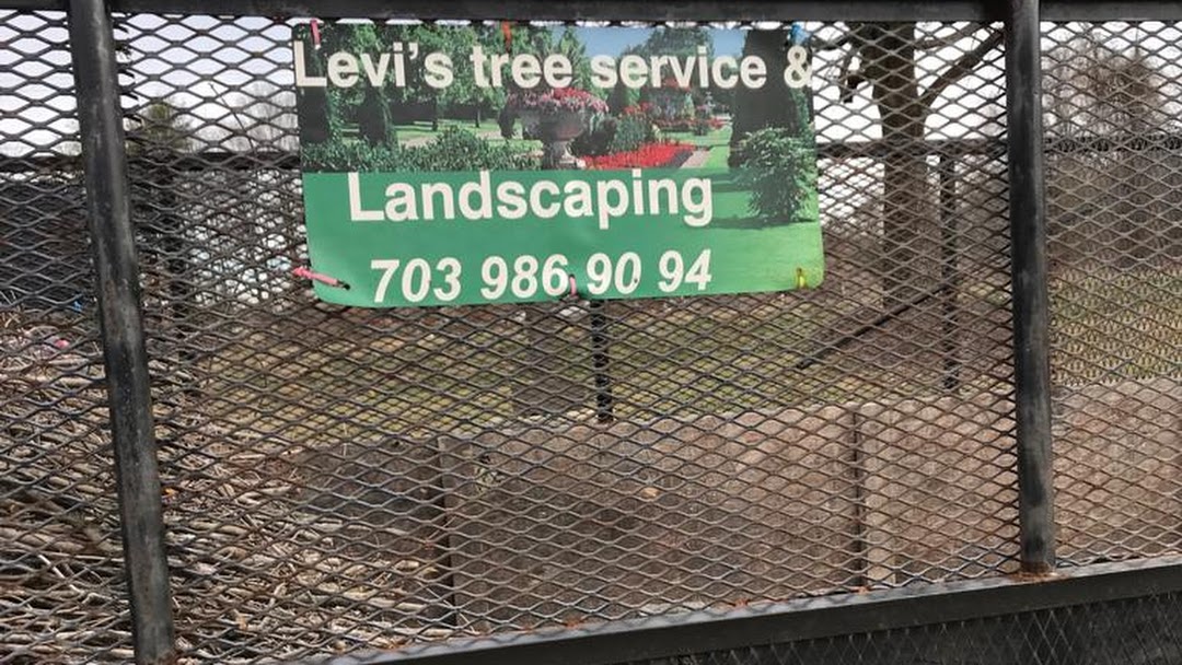 Levis Tree Service - Tree Service and Landscaping