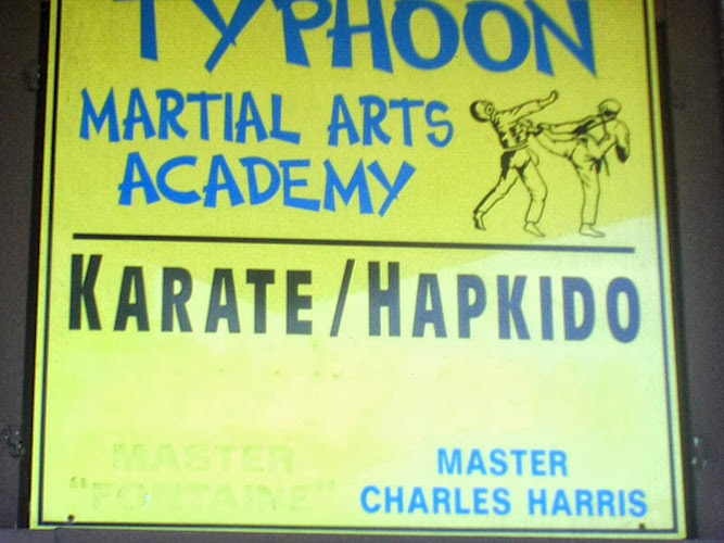 Typhoon Martial Arts Academy - karate in Chicago, Illinois