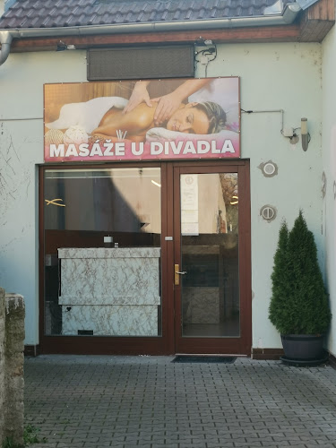 Čs. partyzánů 20, 537 01 Chrudim 1