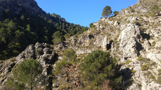 Nacimiento del Río Darro - Thumbnail