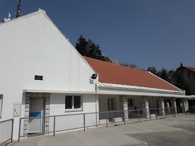 Photos of Autobuska Stanica Cetinje