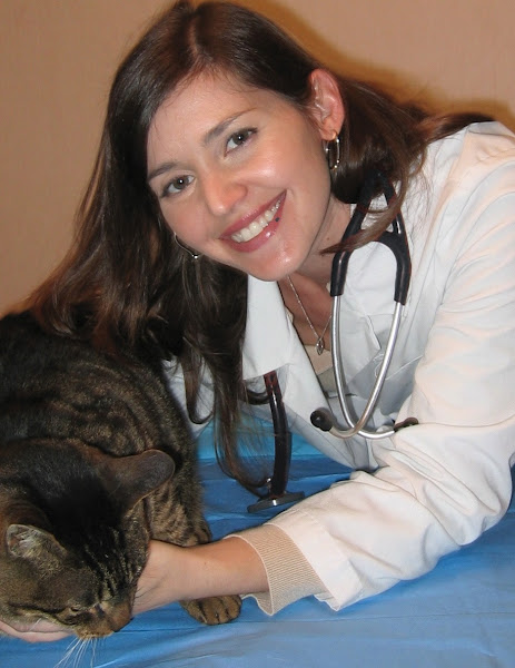 Westchester Mobile Veterinary Service, PLLC