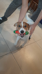 Photo n°19 de Resshy Boutique à Prignac-et-Marcamps (Magasin d'articles pour animaux)