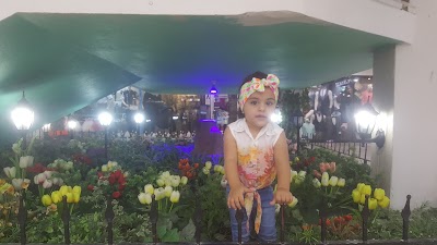 Photos of Şok Market