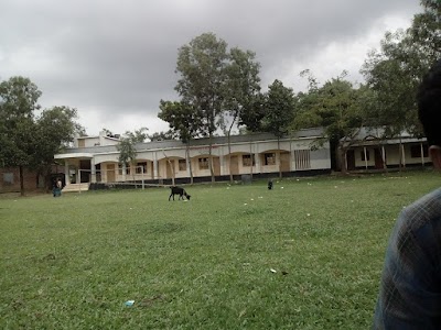 school