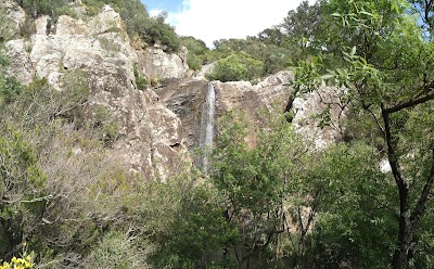 park