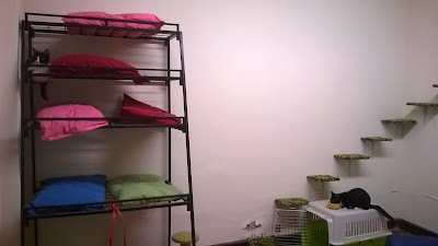 Photos of Pets at Home