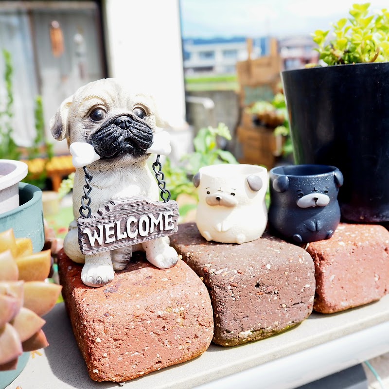 チャーム占いとヒーリング kigoto