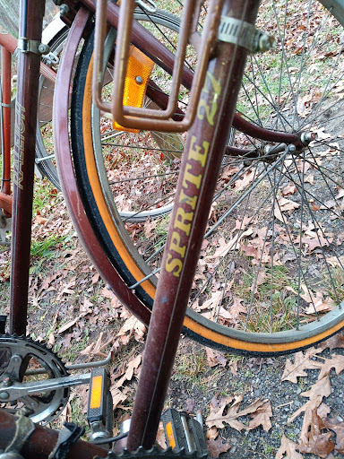 Dave's Bicycles - Thumbnail